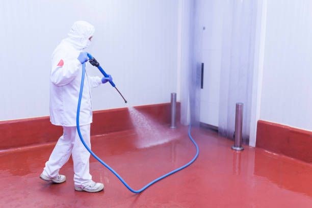 Best Building Exterior Pressure Washing in Louisville, GA